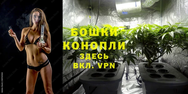 эйфоретик Горняк