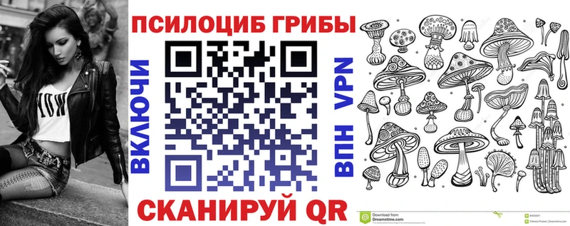 где продают   blacksprut ссылка  Псилоцибиновые грибы MAGIC MUSHROOMS  Дрезна 